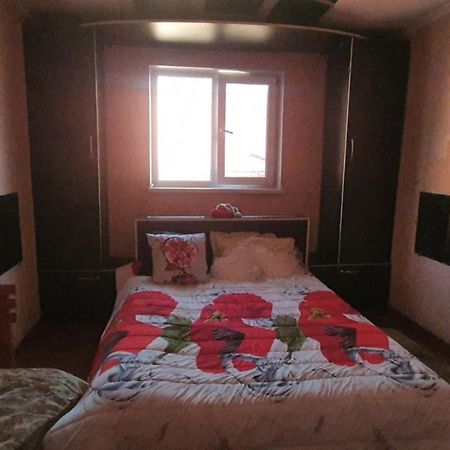 Diana City Center Rooms Chişinău Extérieur photo